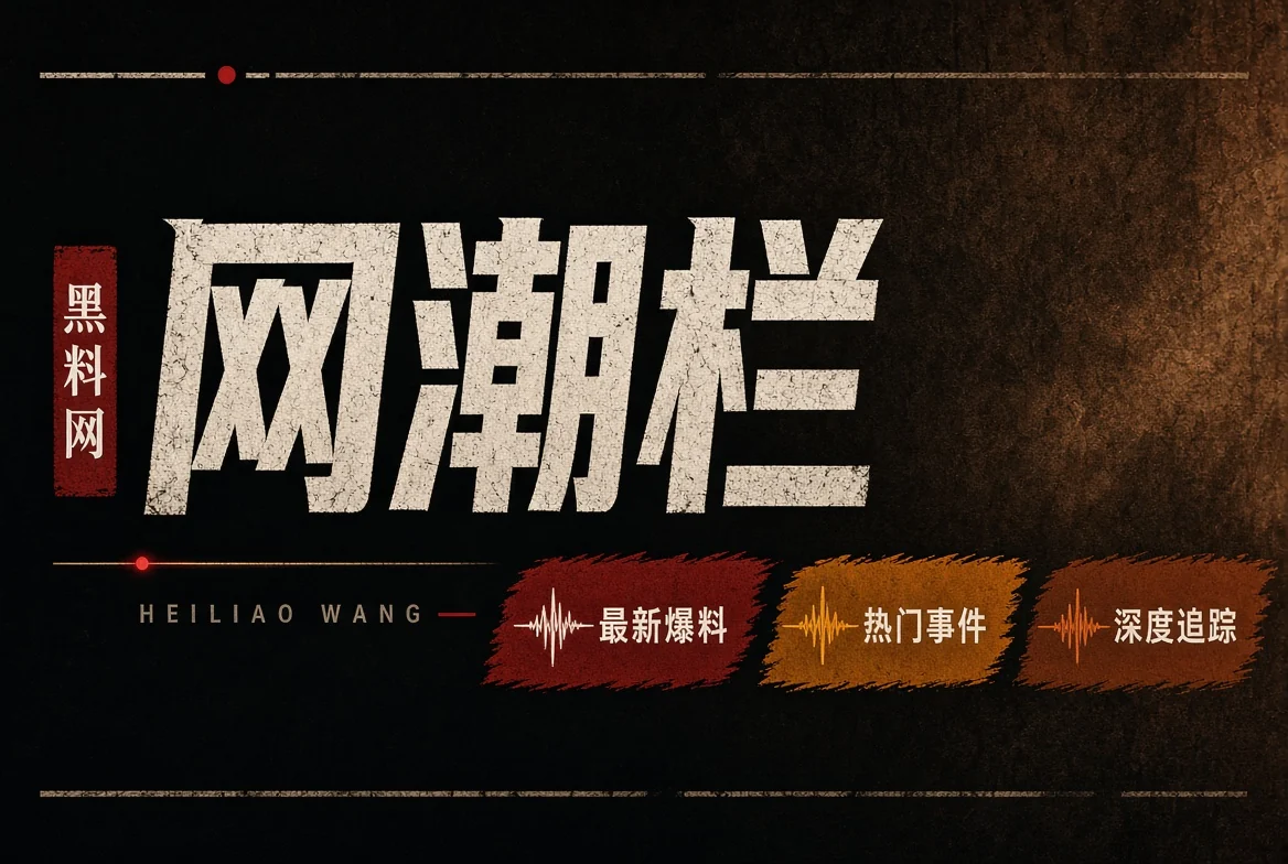 网浪栏栏目主题视觉
